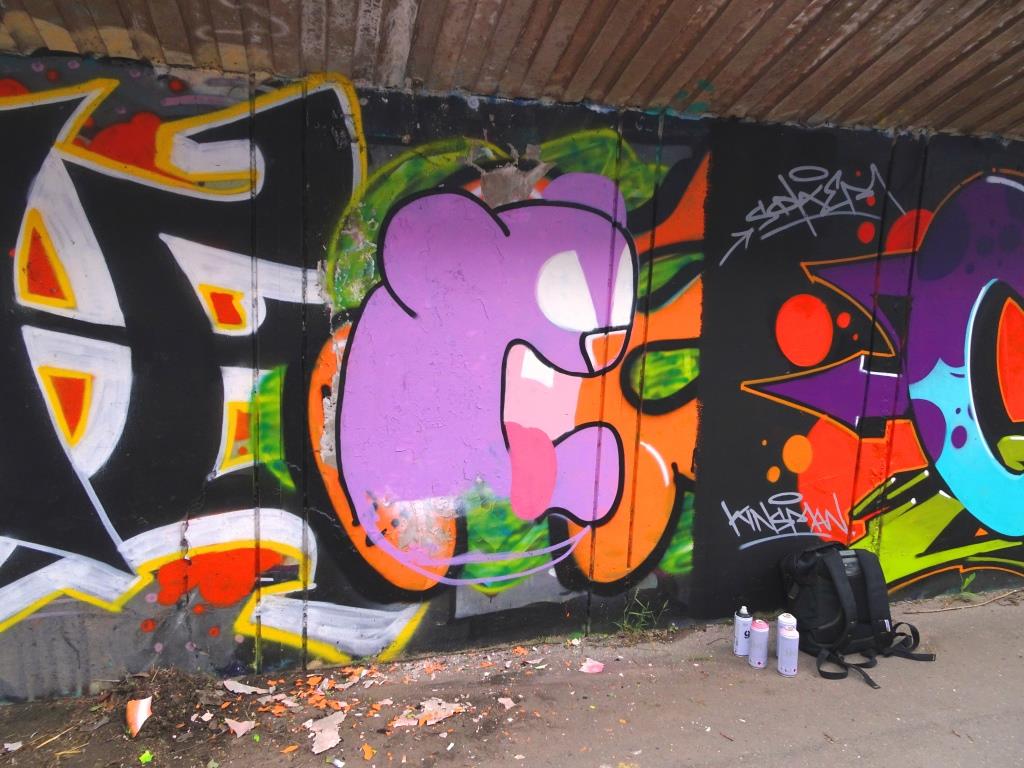 DFC1848, M32 cycle path, Bristol, June 2019