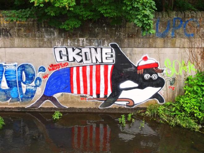 Haka, River Frome, Bristol, June 2019