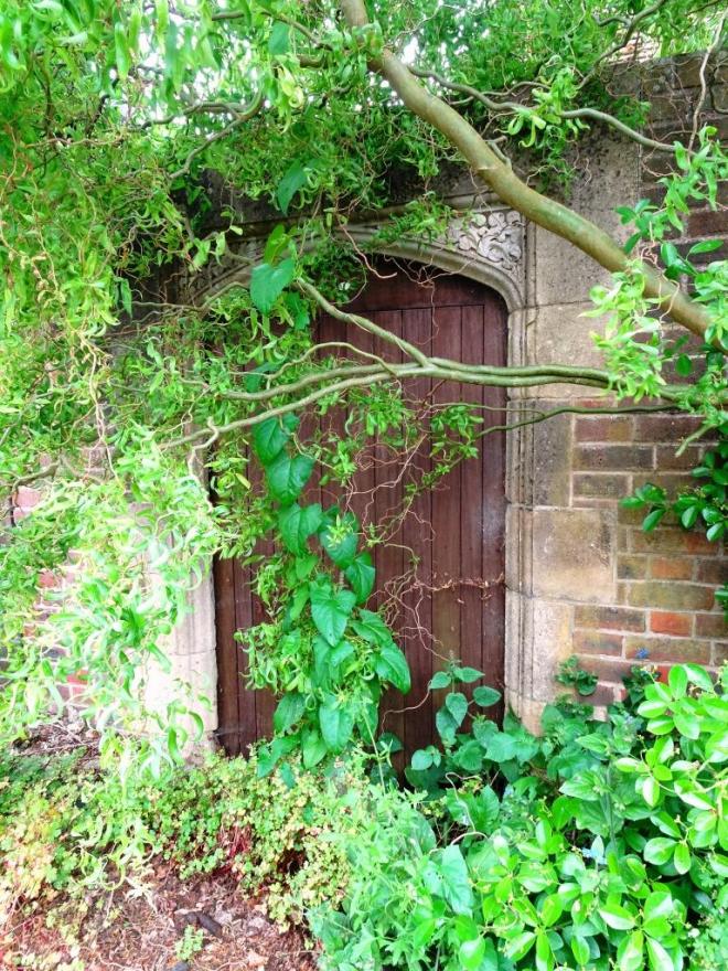 Door, Dorchester, June 2019