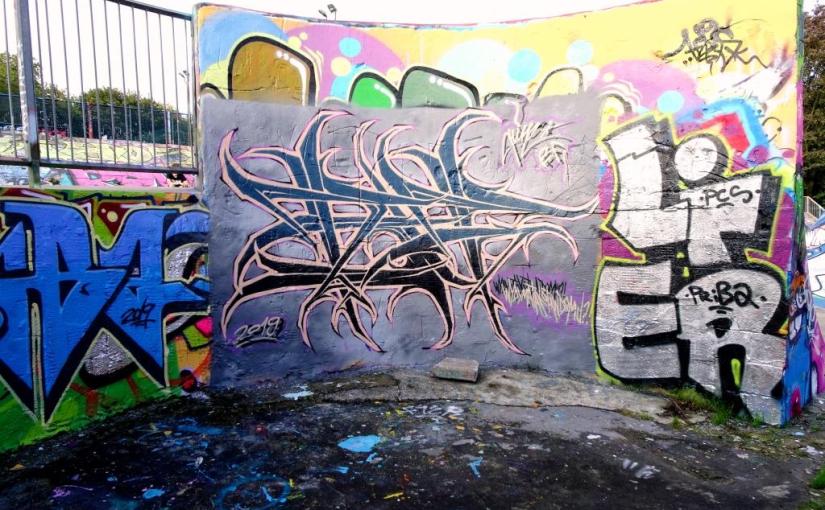 2527. Dean Lane skate park&nbsp;(256)