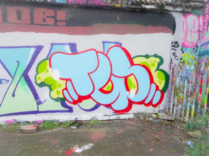 Slim Pickings (Tes), Dean Lane, Bristol, November 2019