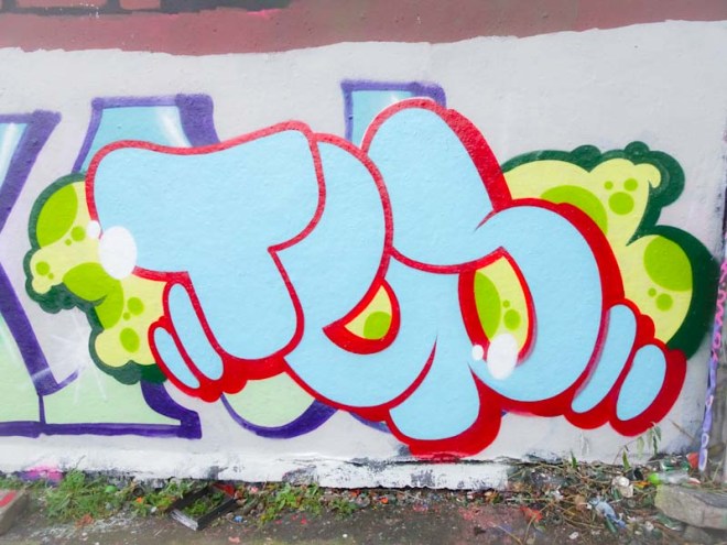 Slim Pickings (Tes), Dean Lane, Bristol, November 2019