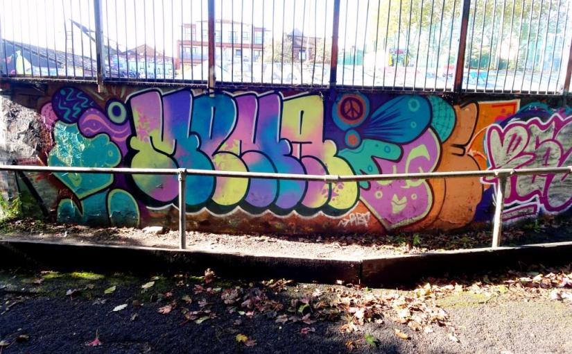 2567. Dean Lane skate park&nbsp;(263)