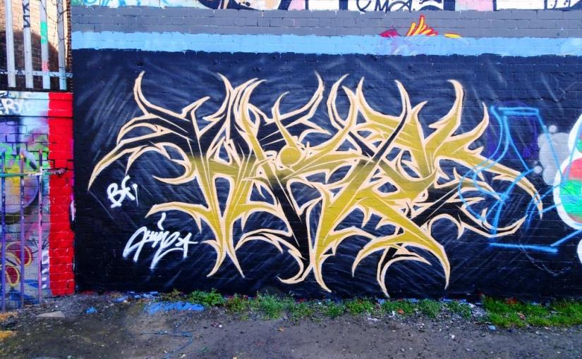 2589. Dean Lane skate park&nbsp;(264)