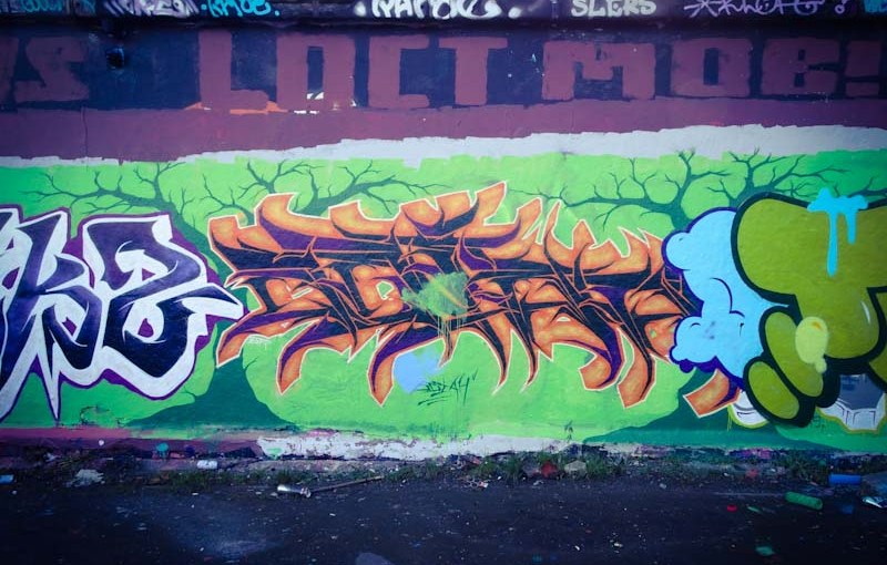 2634. Dean Lane skate park&nbsp;(267)