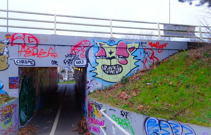 Daz Cat, M32 roundabout, Bristol, December 2019