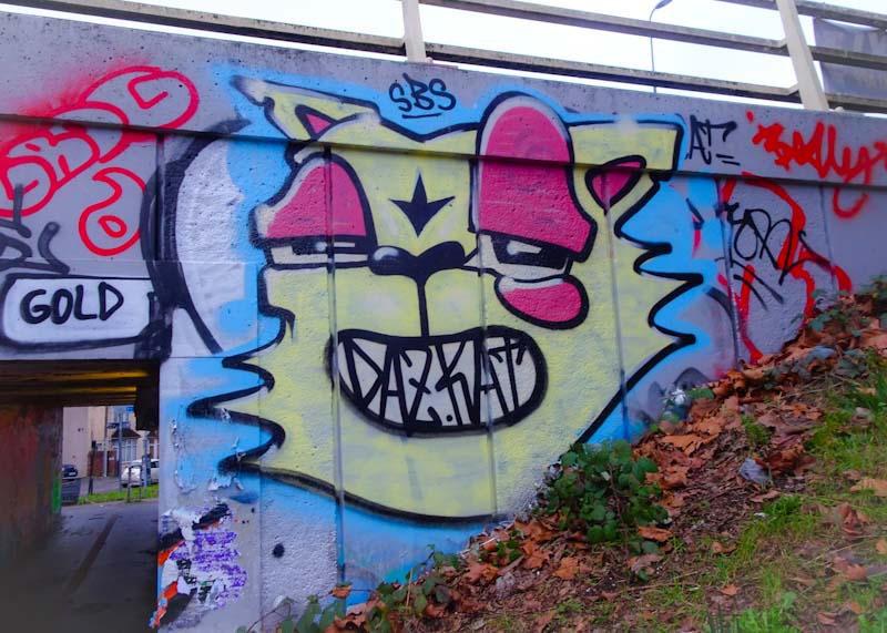 Daz Cat, M32 roundabout, Bristol, December 2019