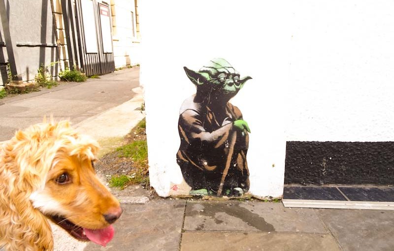 2653. High Street, Weston-super-Mare