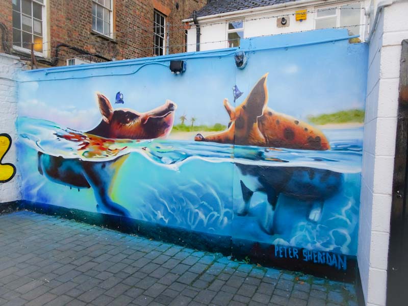 Peter Sheridan, Paint Festival 2019, Cheltenham, September 2019