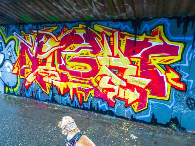 Nightwayss, M32 cycle path, Bristol, December 2019