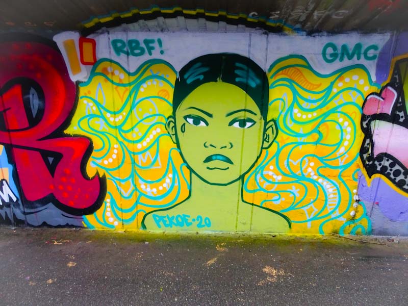 Pekoe, M32 cycle path, Bristol, January 2020