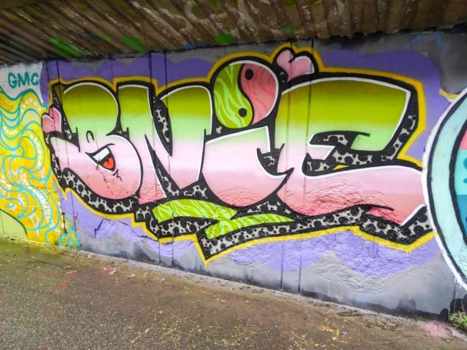 Bnie, M32 cycle path, Bristol, January 2020