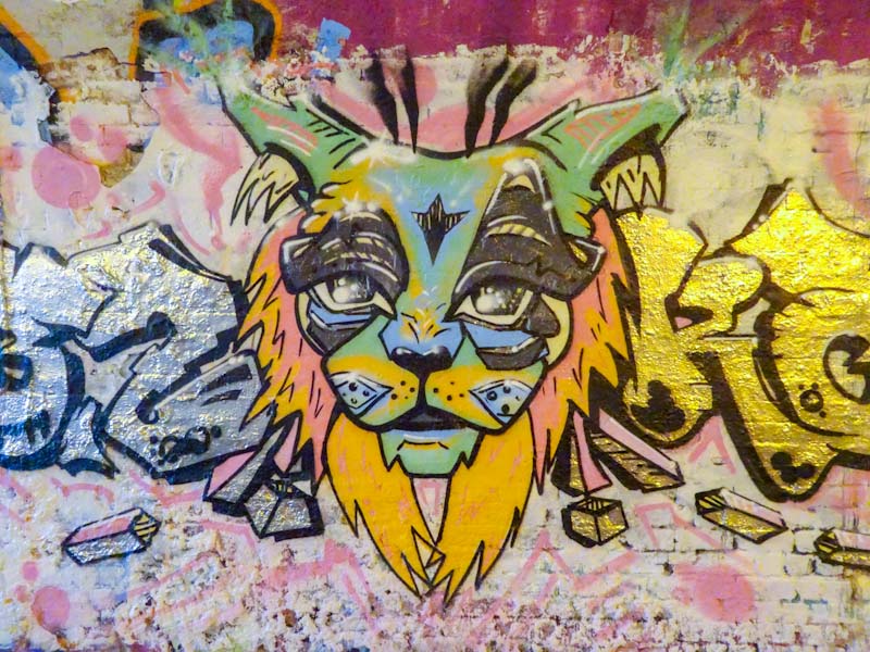 Daz Cat, St Werburghs, Bristol, January 2020