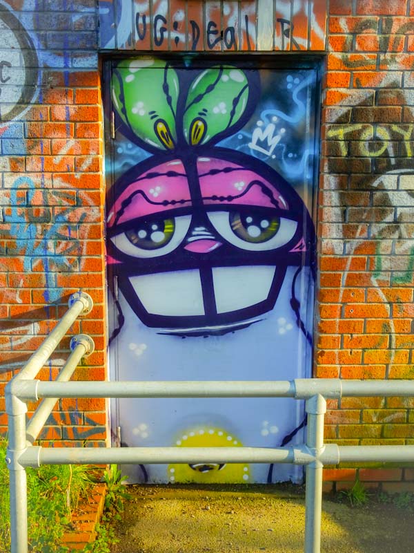 Nevergiveup, River Avon, Bristol, January 2020