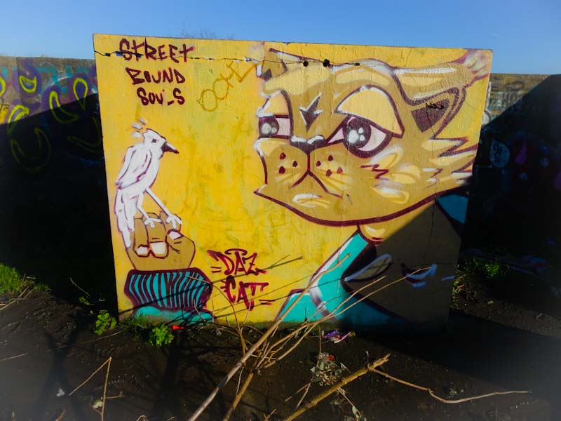 Daz Cat, Purdown HAA Battery, Bristol, January 2020