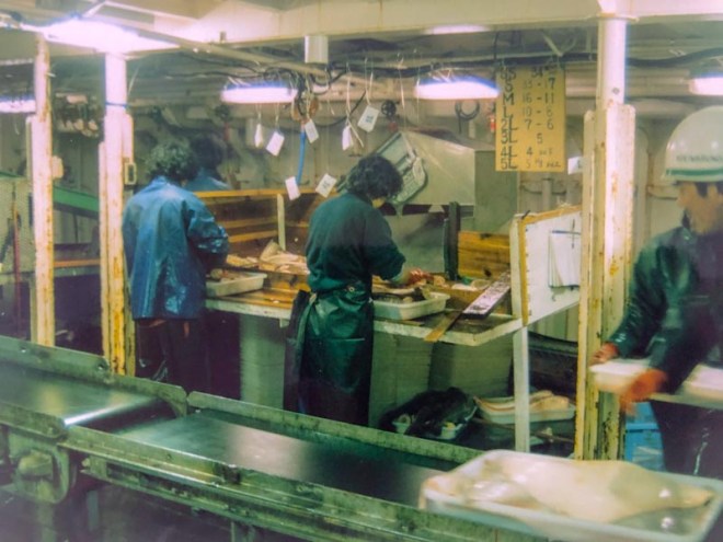 Processsing deck, Koei Maru 30, Falkland Islands 1988