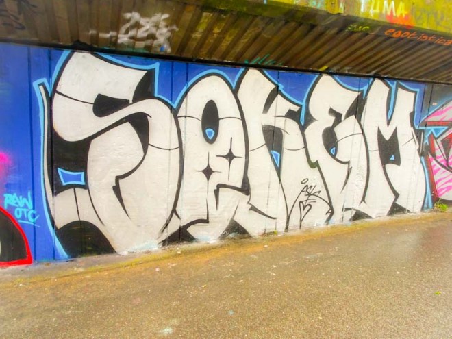 Soker, M32 cycle path, Bristol, February 2020