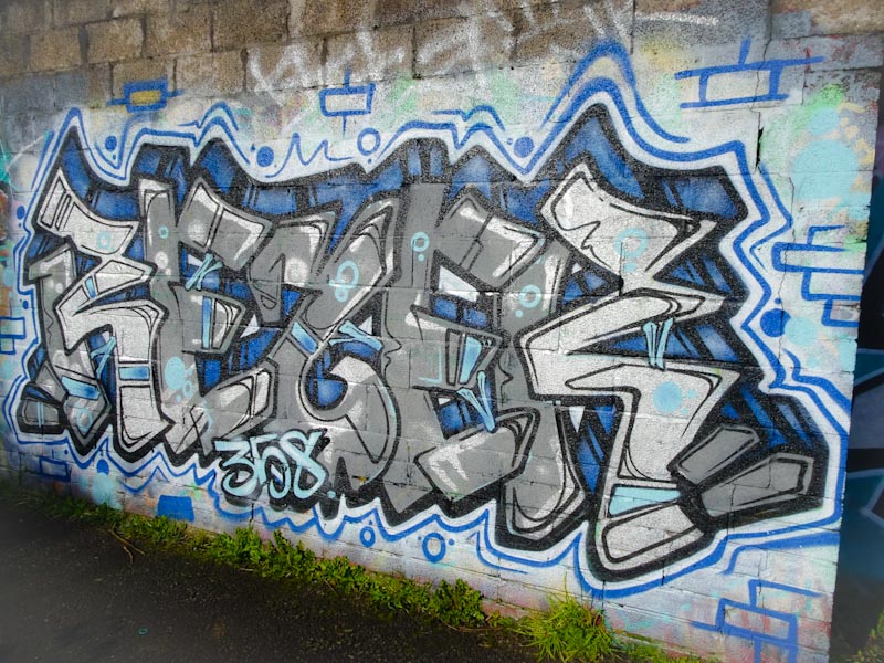 Rezwonk, River Avon, Bristol, February 2020