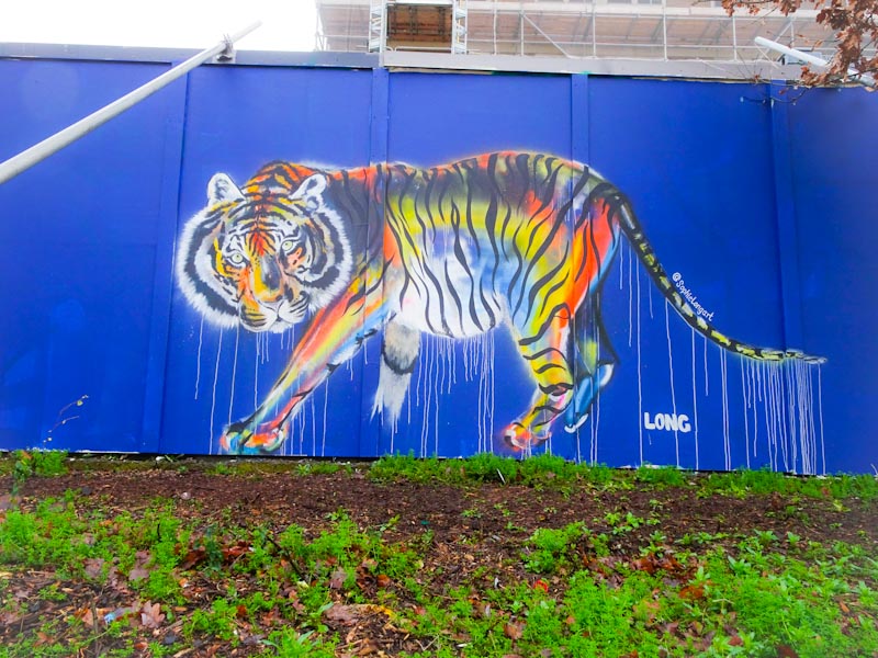 Sophie Long, North Street, Bristol, January 2020