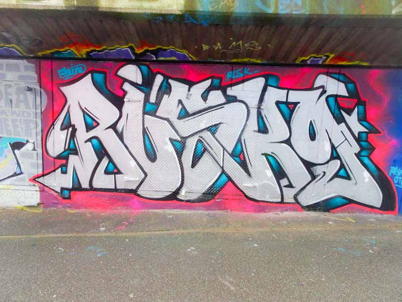 Rusk, M32 cycle path, Bristol, February 2020