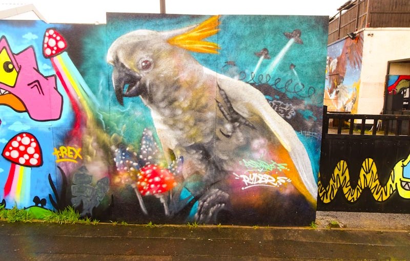 2824. Alfred Street&nbsp;(1)