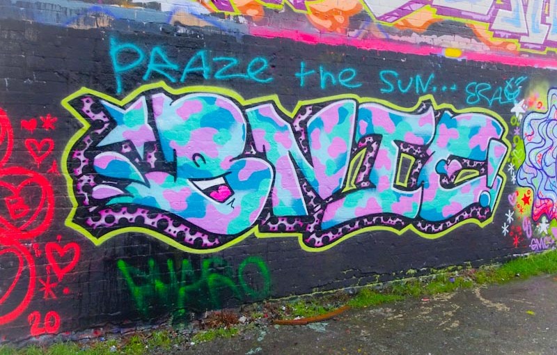 2801. Dean Lane skate park&nbsp;(289)