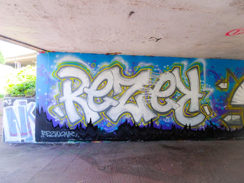 Rezwonk, New Stadium Road, Bristol, May 2019