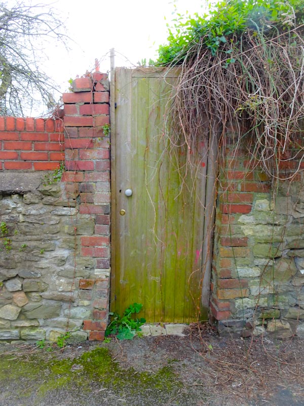 Garden gate, Montpelier, Bristol, March 2020