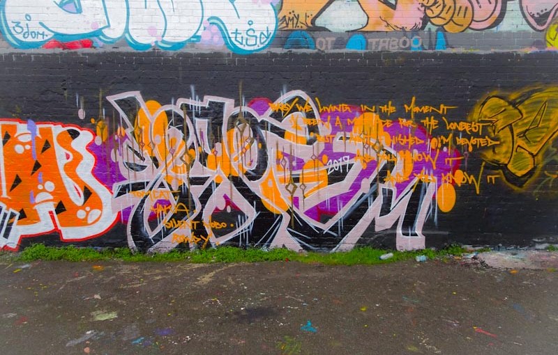 2938. Dean Lane skate park&nbsp;(310)