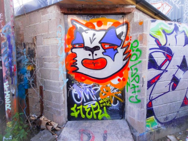 Daz Cat, M32 cycle path, Bristol, May 2020