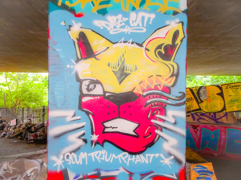 Daz Cat, M32 Spot, Bristol, July 2018