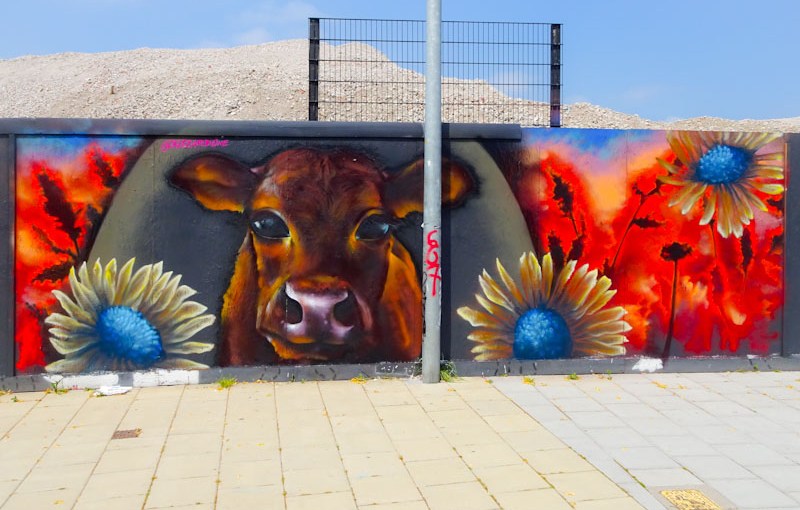 3037. Cattle Market Road&nbsp;(2)