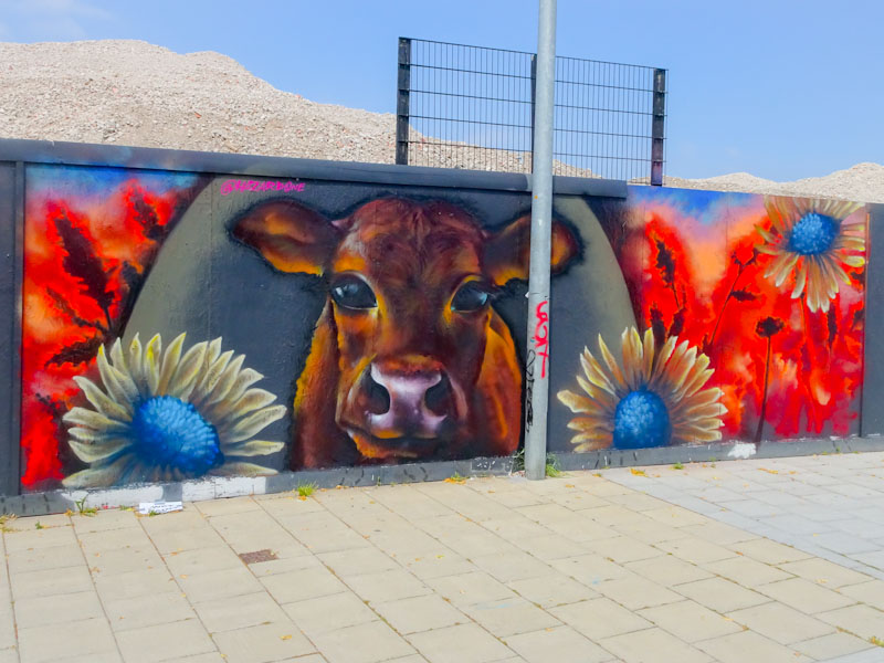 Hazard, Cattle Market Road, Bristol, June 2020