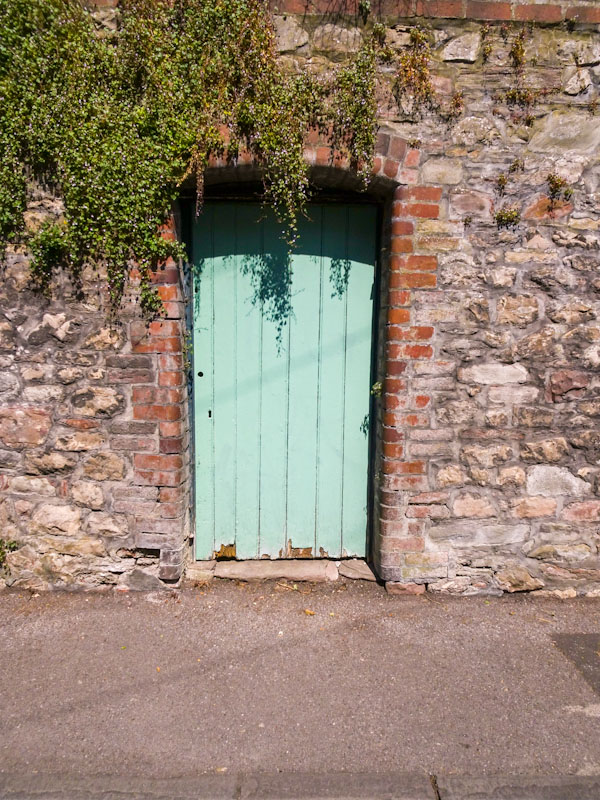 Back yard gate, Montpelier, Bristol, May 2020