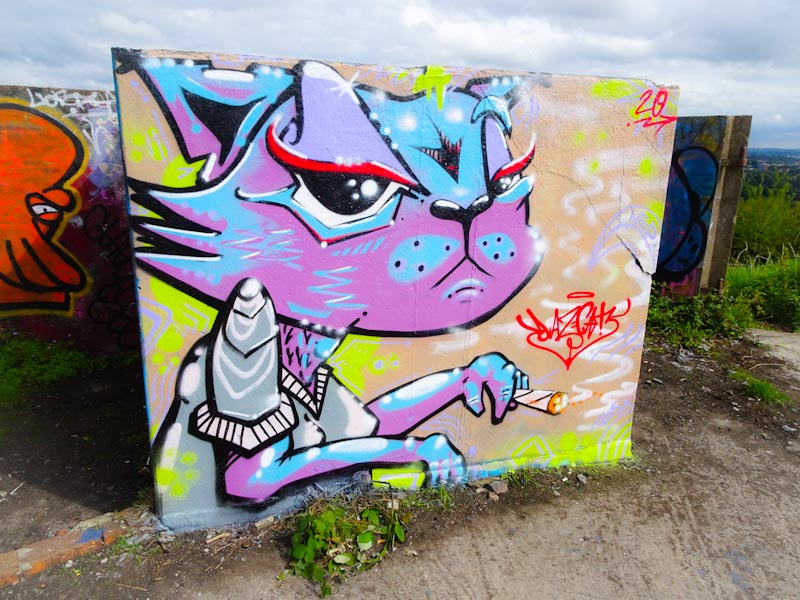 Daz Cat, Purdown Battery, Bristol, July 2020