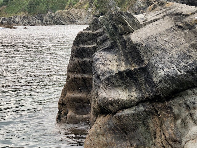 Herring steps