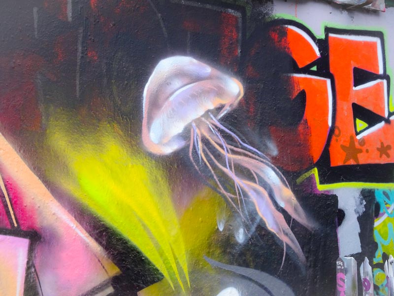 Smak, Dean Lane, Bristol, August 2020