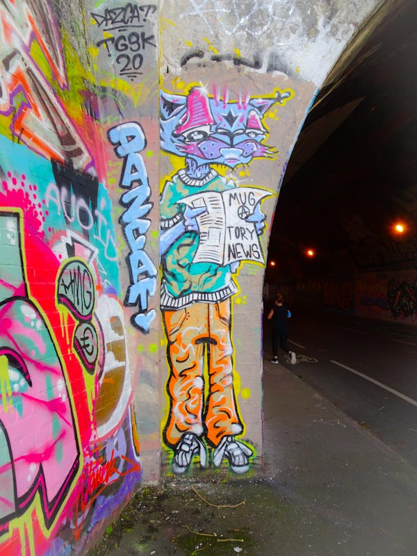 DazCat, St Werburghs, Bristol, August 2020