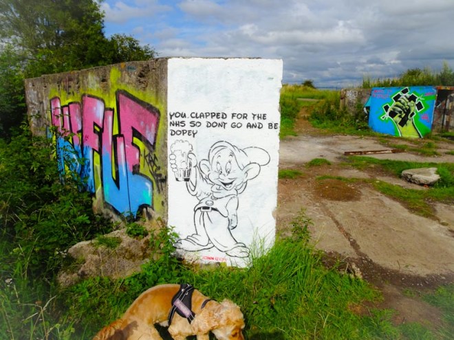 John D'oh, Purdown Battery, Bristol, July 2020