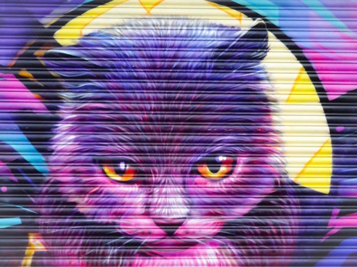 Kin Dose, North Street, Bristol, July 2020