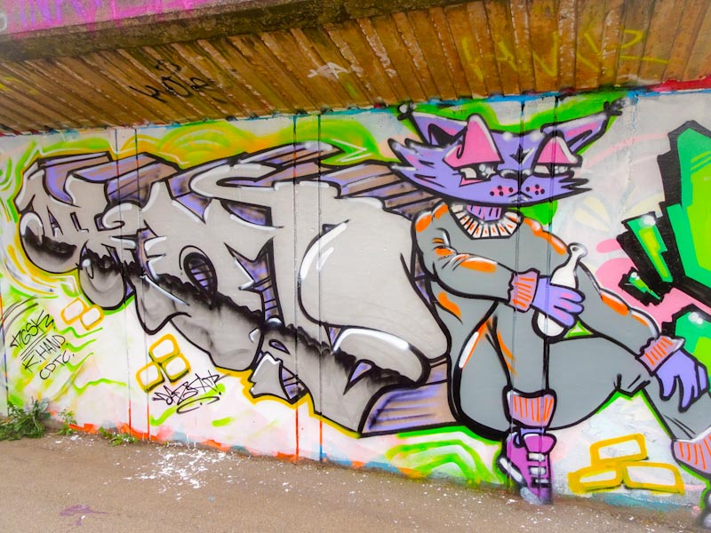 Daz Cat, M32 Cycle path, Bristol, August 2020