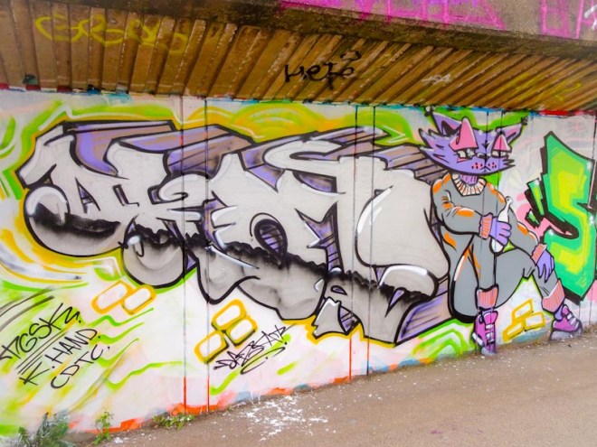 Daz Cat, M32 Cycle path, Bristol, August 2020