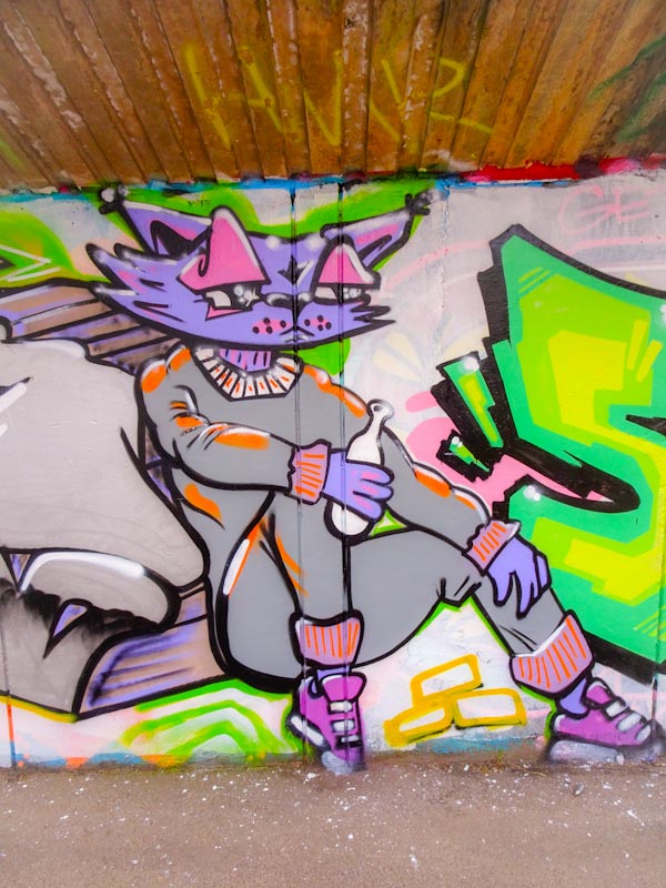 Daz Cat, M32 Cycle path, Bristol, August 2020