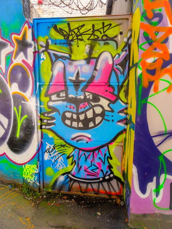 DazCat, M32 Cycle path, Bristol, September 2020
