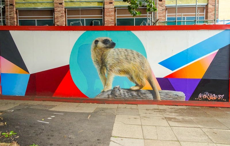 3173. Temple Way&nbsp;(1)