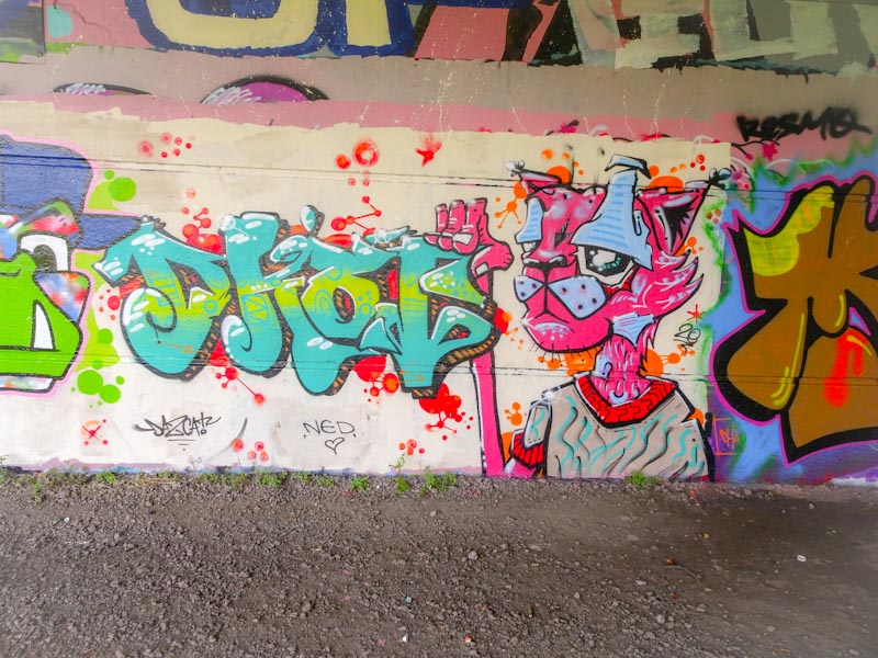 Daz Cat, Brunel Way, Bristol, September 2020