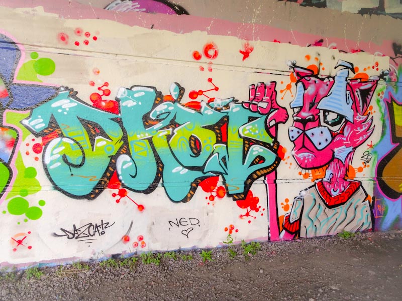 Daz Cat, Brunel Way, Bristol, September 2020