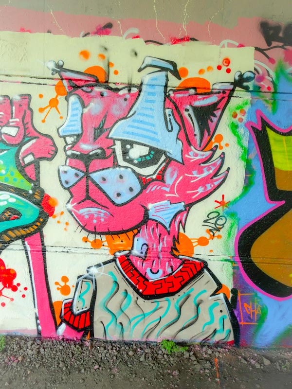 Daz Cat, Brunel Way, Bristol, September 2020