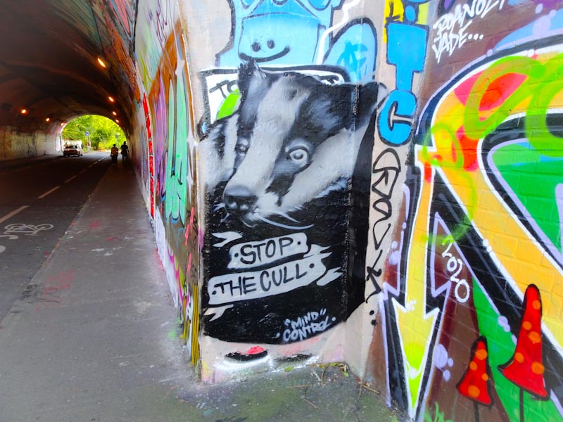 Mind Control, St Werburghs, Bristol, September 2020