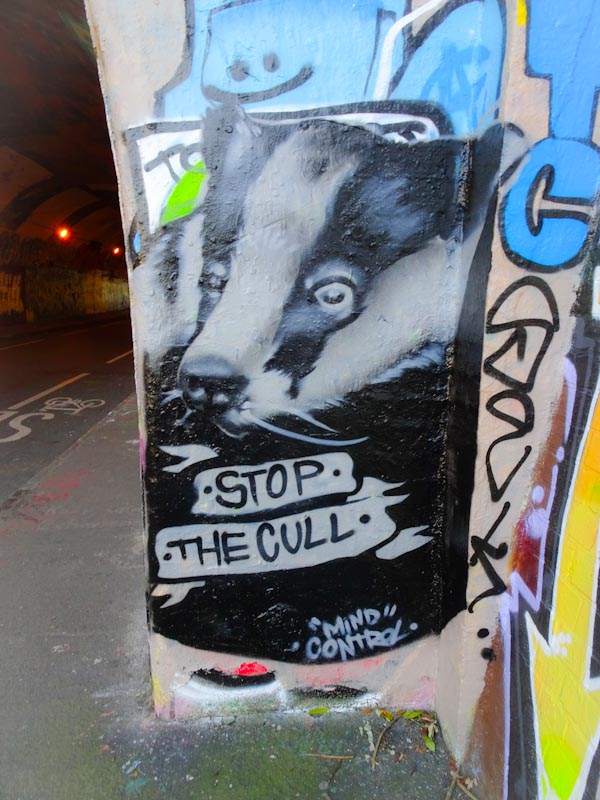 Mind Control, St Werburghs, Bristol, September 2020